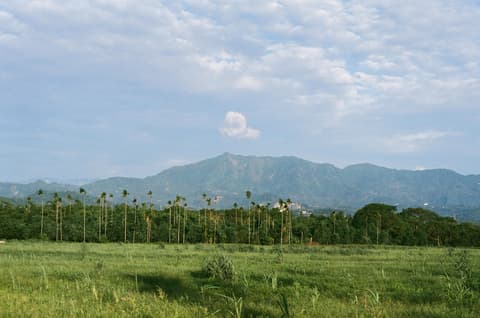大尖山 cover photo