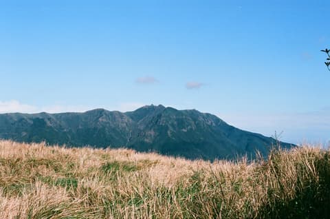 竹子山 cover photo