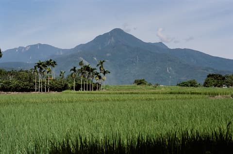 鳳林山主峰 cover photo