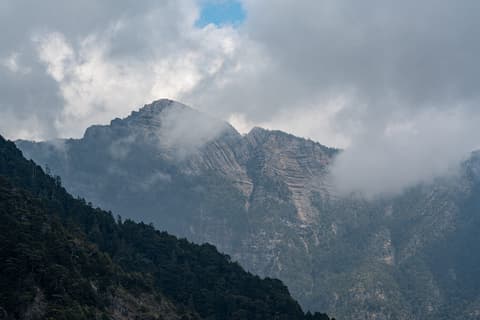 品田山 cover photo