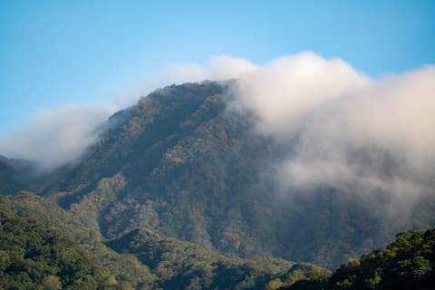 北插天山 cover photo