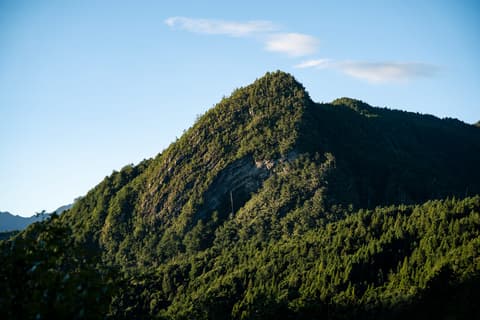 榛山 cover photo