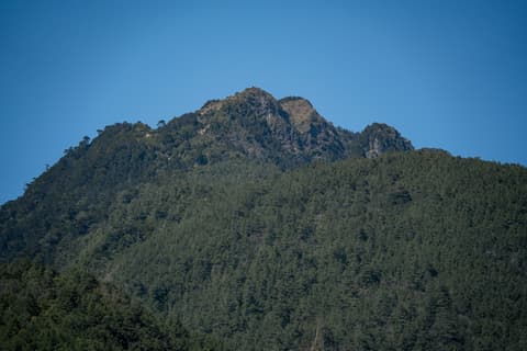 桃山 cover photo