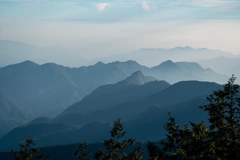 東卯山 cover photo
