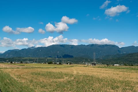 新港山 cover photo
