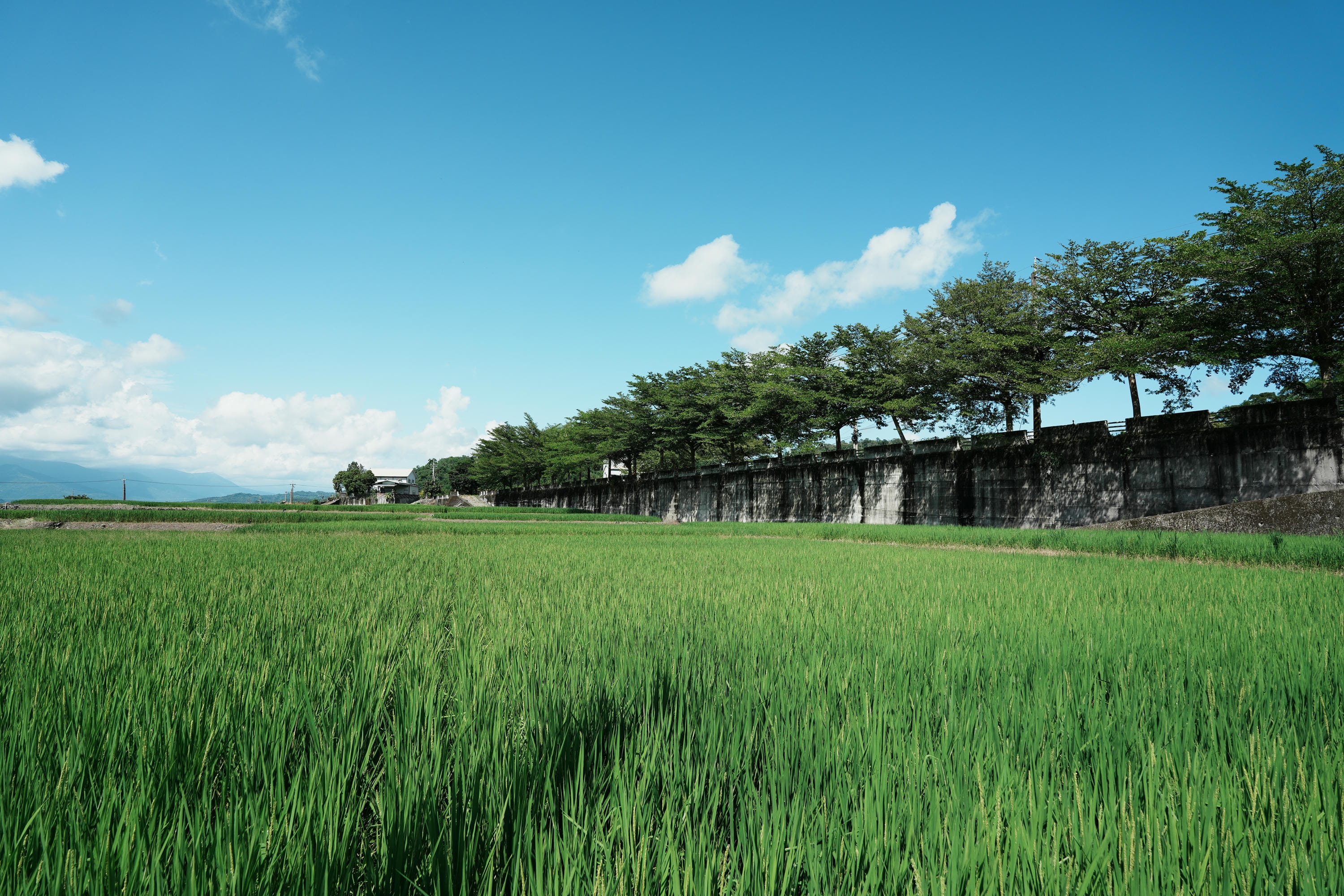土坂