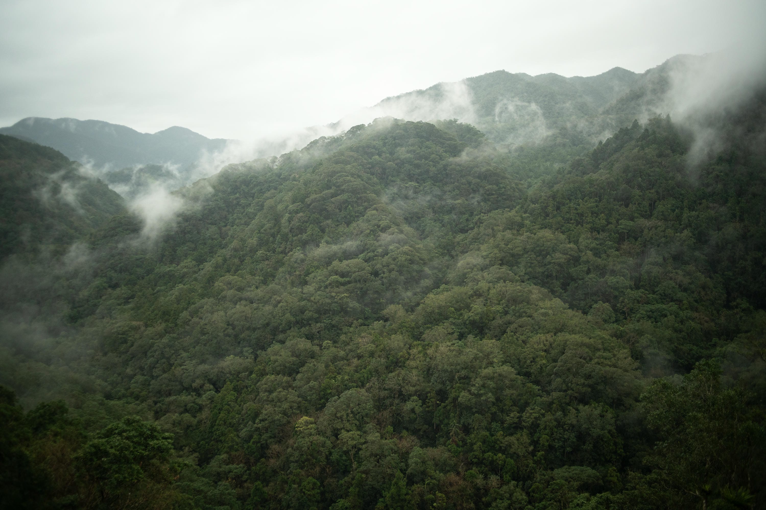 福山
