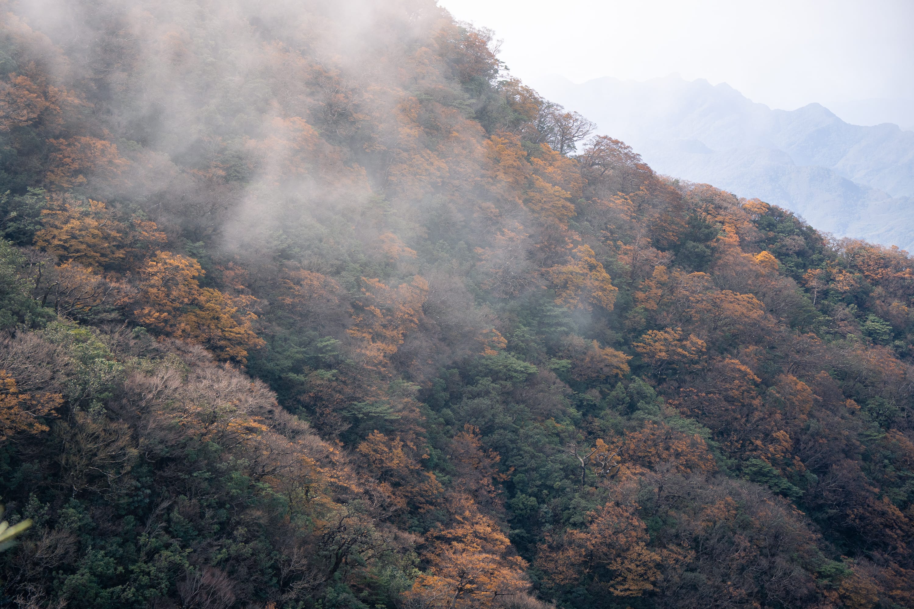 北插天山